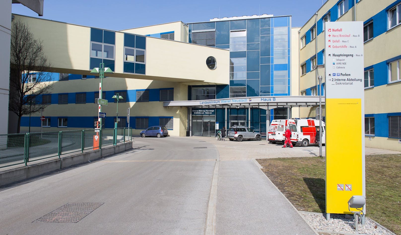 Das Opfer (45) wurde ins Spital nach Wr. Neustadt gebracht.