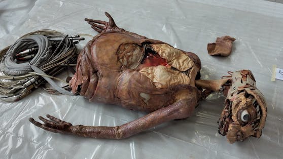 Bei einer Ausstellung des italienischen Filmkünstlers Carlo Rambaldi wurde 2019 auch eine Puppe von "E.T." gezeigt.
