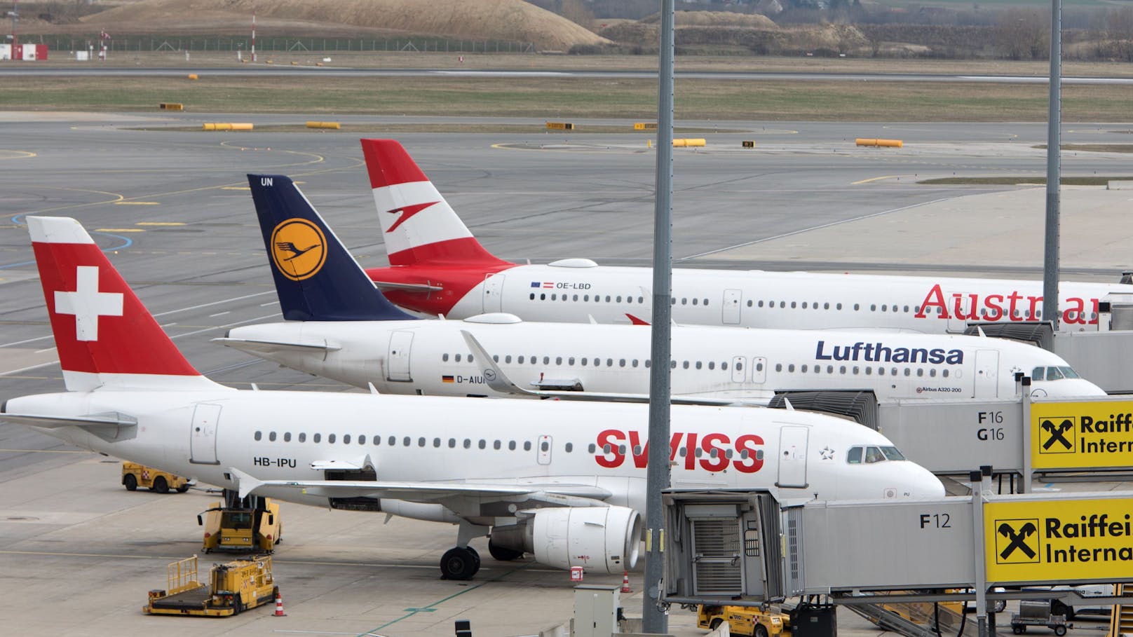 Lufthansa stellt Israel-Flüge vorübergehend ein