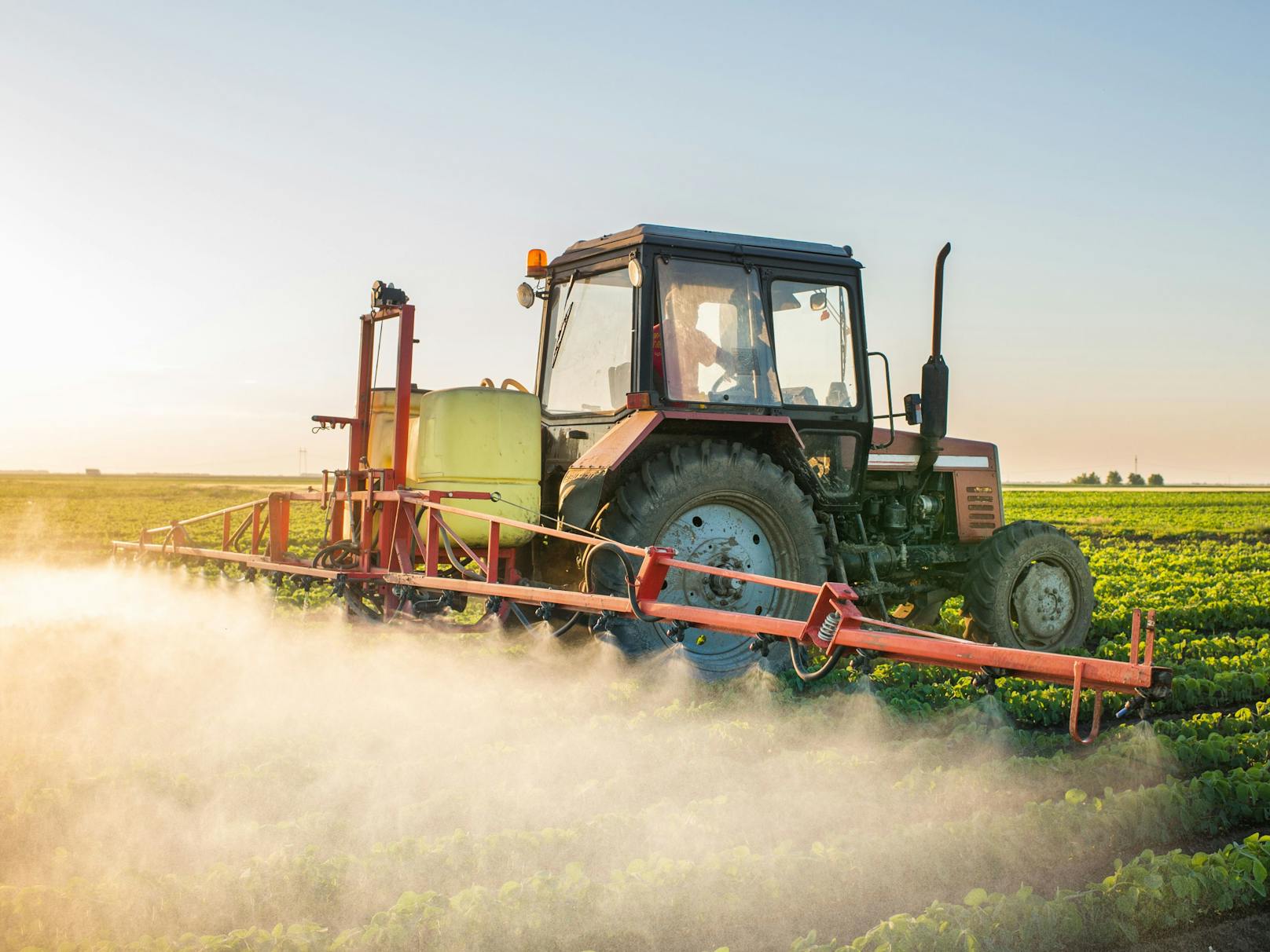 Wie viel Pestizideinsatz braucht die Landwirtschaft? Umweltschützer sehen vor dem Hintergrund der Klimakrise nur die biologische Landwirtschaft mit langfristigem Bestand.