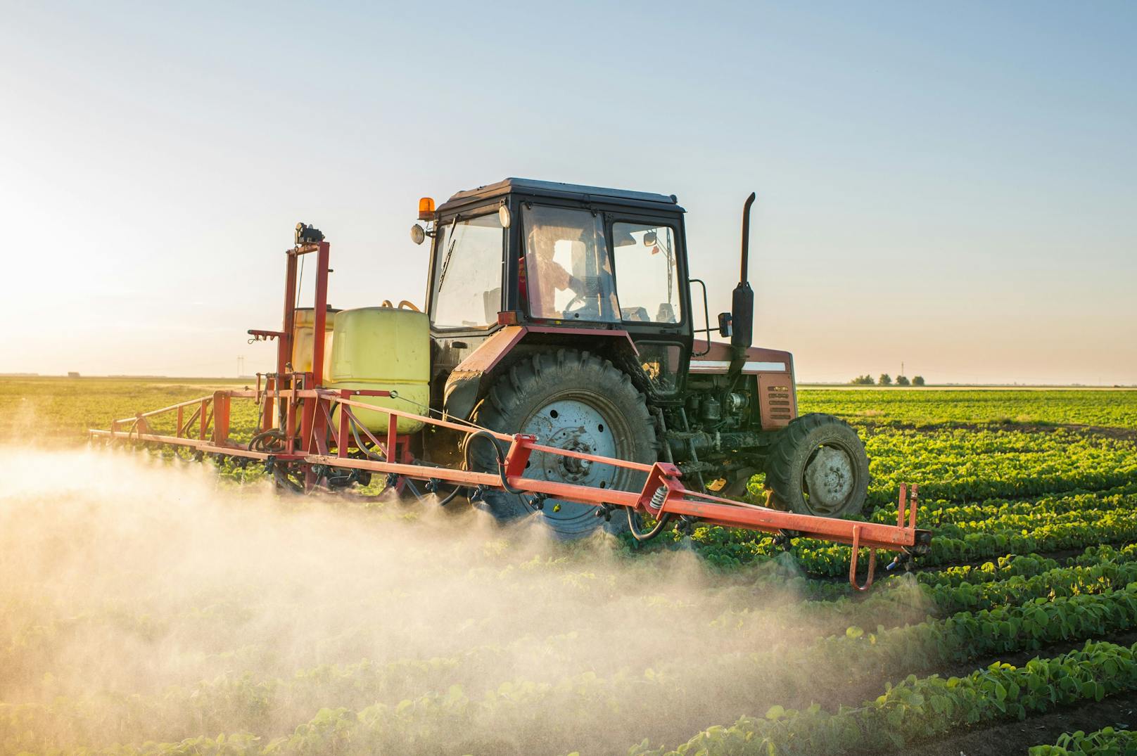 Foodwatch will Steuer für Pestizide auf Feldern