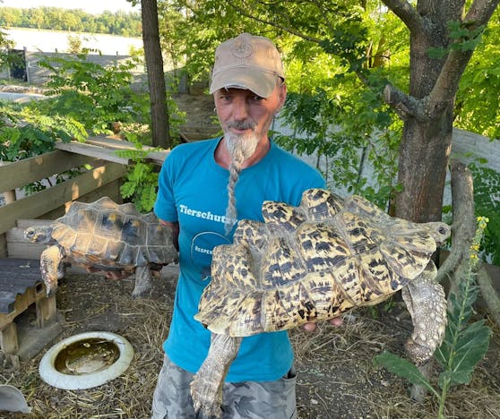 Markus Putzgruber kümmert sich in Seebarn/Wagram um Hunderte Tiere.