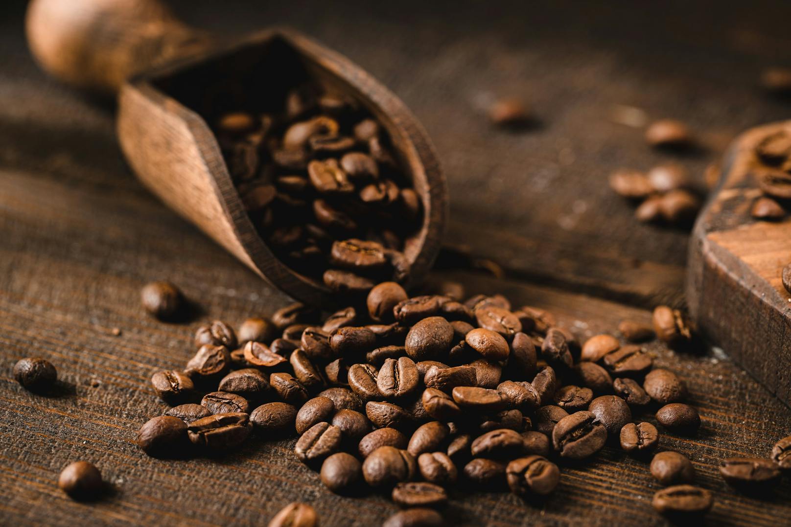 Auch deine Kaffeebohnen mögen es dunkel, aber nicht kalt. Im Kühlschrank verlieren sie das Aroma und nehmen das von anderen Speisen an. 