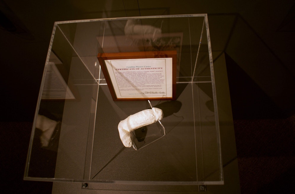 Der Gipsabdruck des erigierten Penis des legendären Rockgitarristen Jimi Hendrix im Isländischen Phallologischen Museum in Reykjavik, Island.