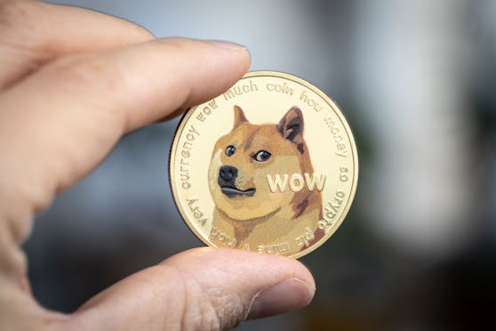 Die Krypto-Währung "Dogecoin" sollte nur ein Spaß und keine echte Wertanlage sein.
