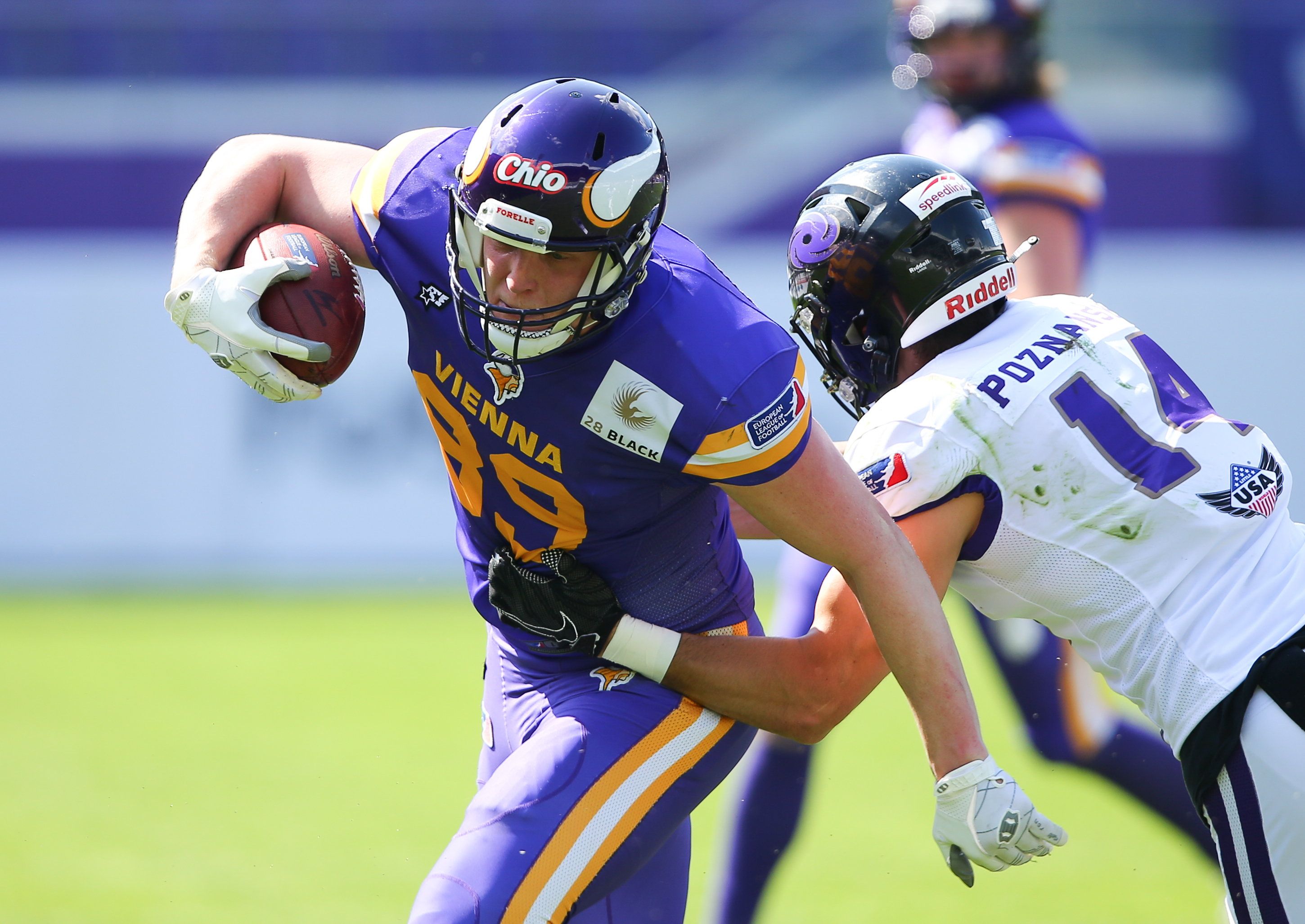 Die Vienna Vikings wollen nachlegen