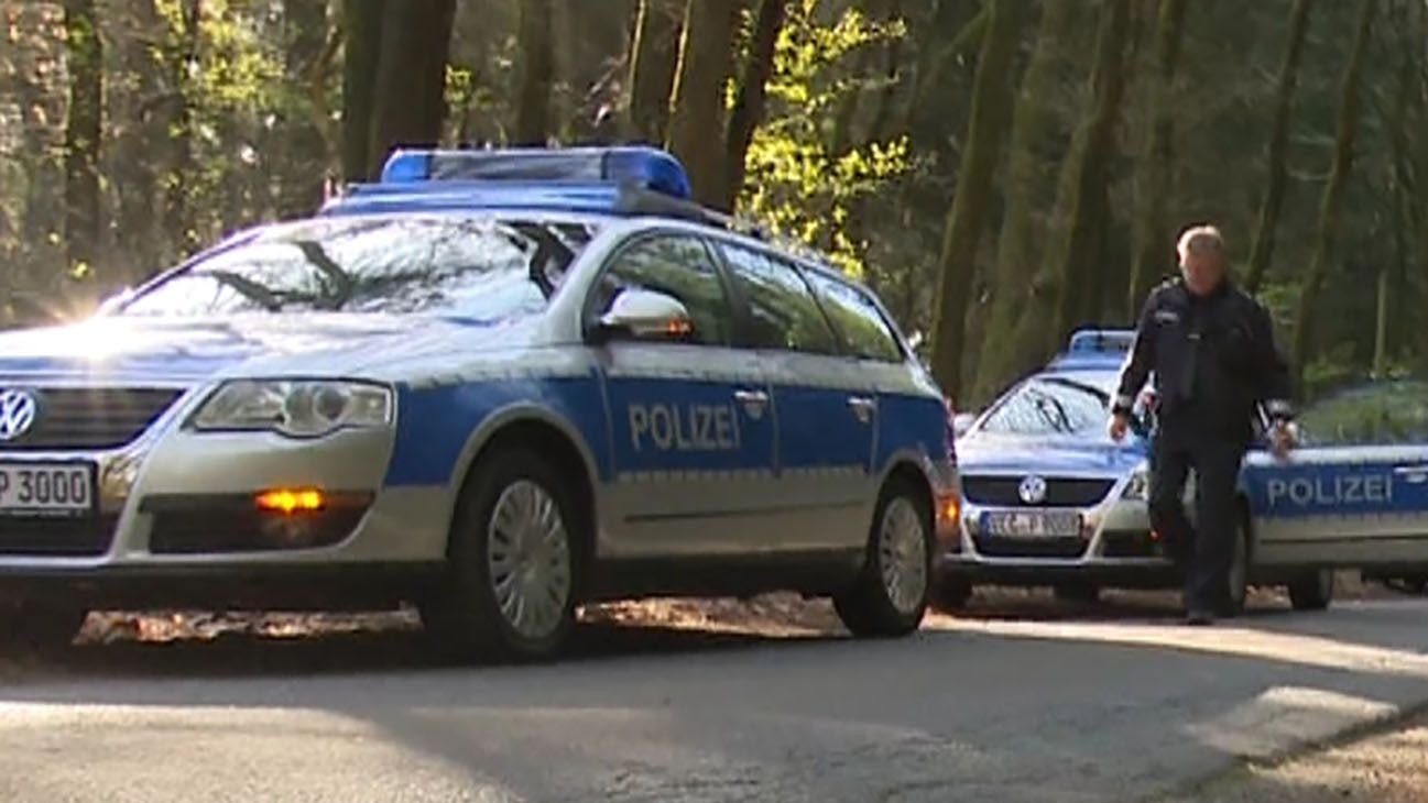 Streifenwagen der niedersächsischen Polizei in einem Wald.