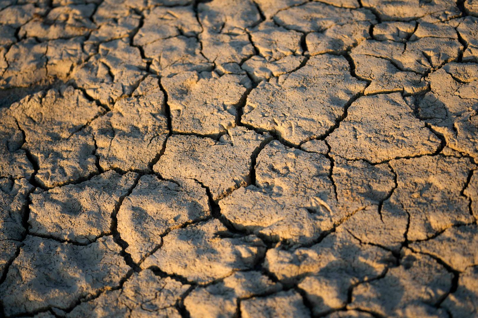 Der Pegel des Flusses Po ist auf ein Rekordtief gesunken, nach Angaben des Landwirtschaftsverbandes Coldiretti ist die Hälfte der Anbauflächen bedroht, ein Drittel der nationalen Landwirtschaftsproduktion ist gefährdet.