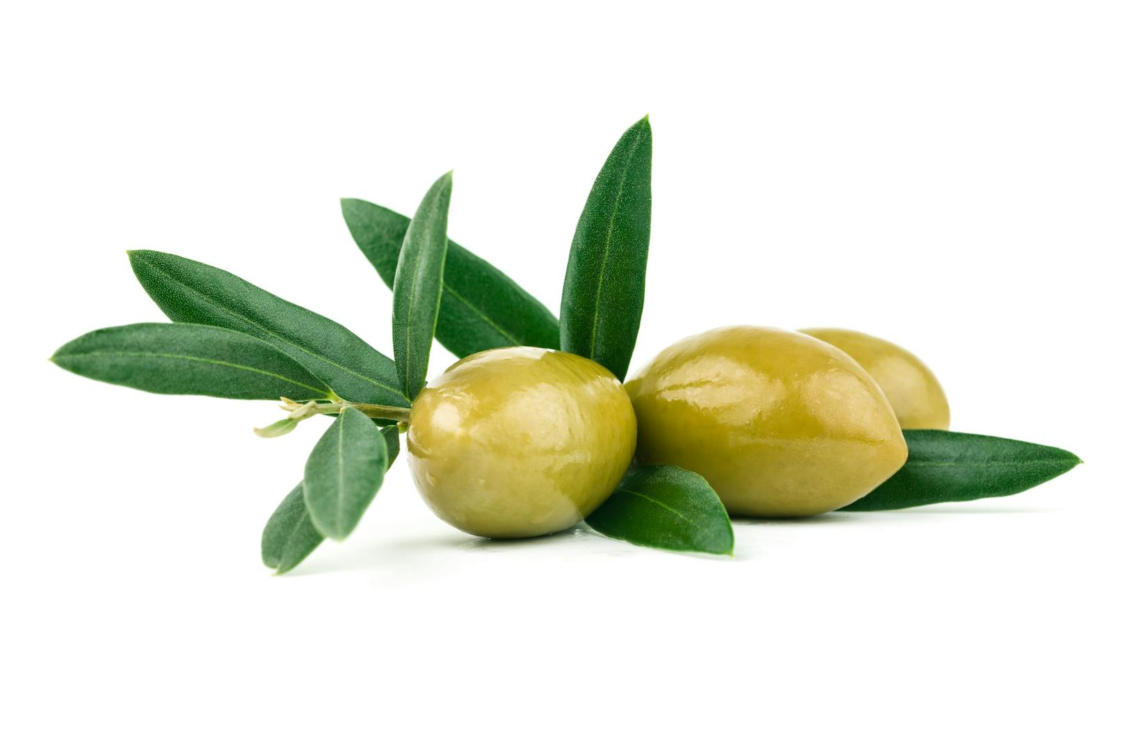 Oliven: Beliebt in Europa