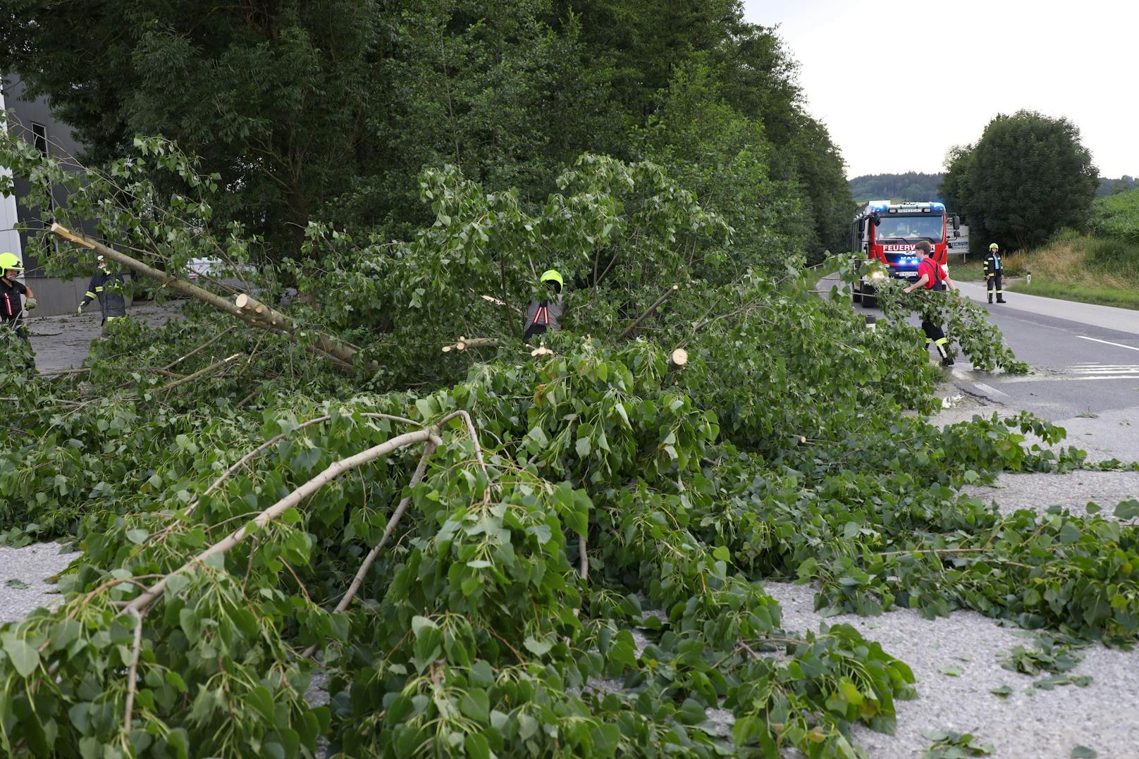 Die Unwetter zogen am Montag eine Schneise der Verwüstung durch Oberösterreich.