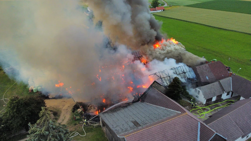 Bilder vom verheerenden Brand.