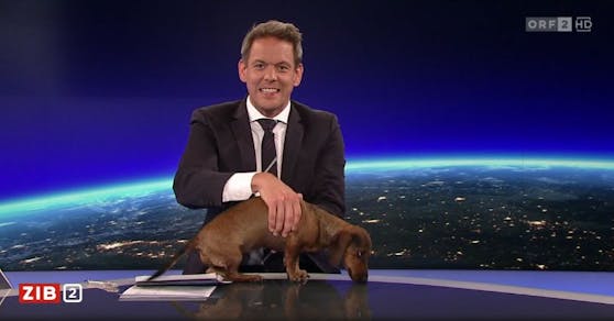 ORF-Star Martin Thür und Dackel "Finny"