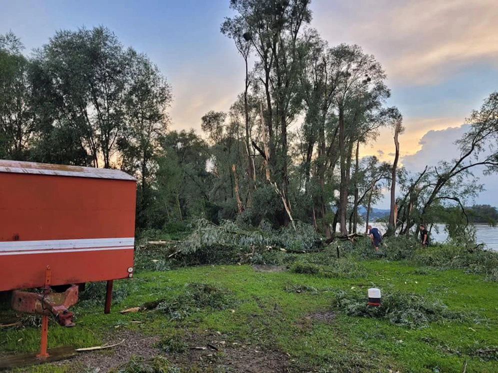 Zahlreiche Bäume wurden am Donauufer Opfer des Sturms.