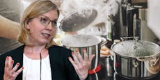 3,6 Mio. € für "Deckel auf Topf" – FPÖ kocht wegen Gewessler