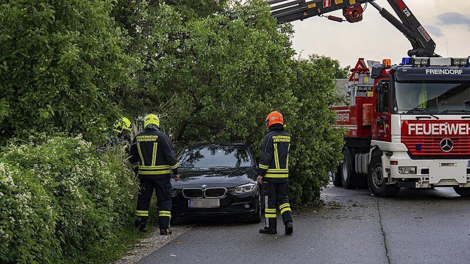 In Ansfelden stürzte ein Baum auf ein Auto.
