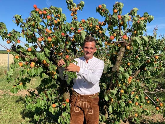 Florian Makowsky in seinem Obstgarten.