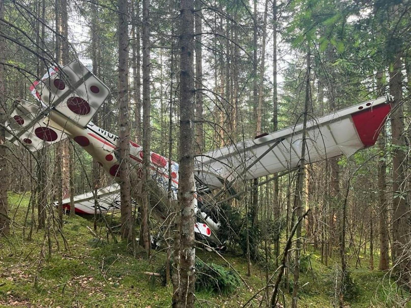 Das Ultraleichtflugzeug blieb nach dem Absturz in den Bäumen hängen.
