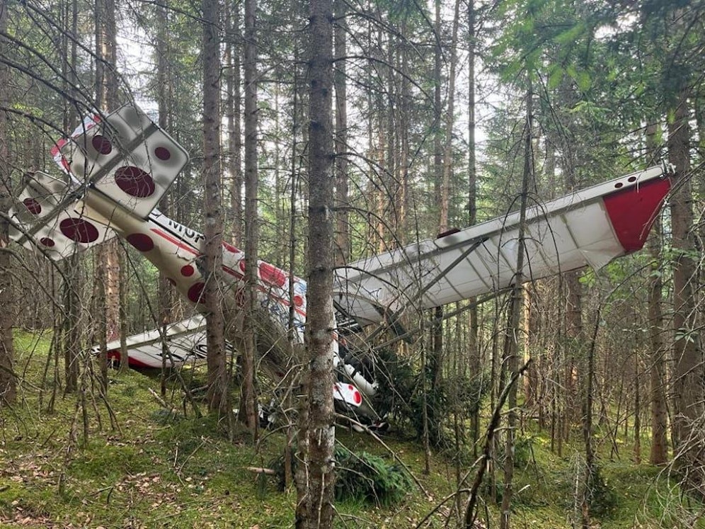 Das Ultraleichtflugzeug blieb nach dem Absturz in den Bäumen hängen.