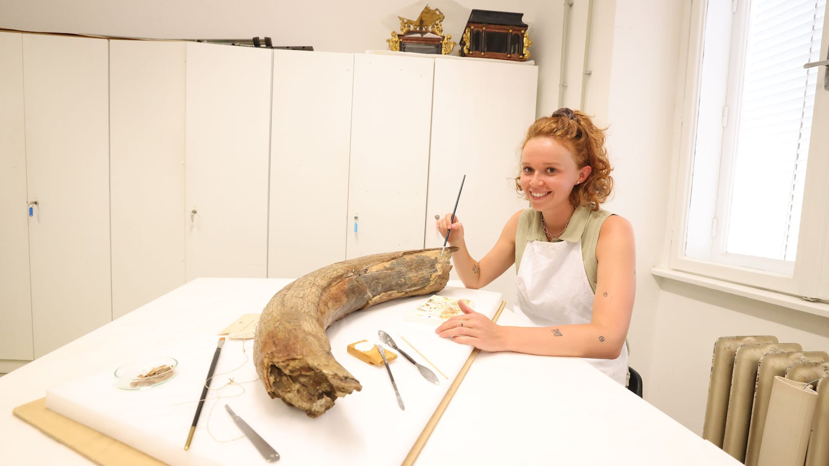 Studierende der Angewandten restaurieren derzeit einen Wollhaarmammut-Stoßzahn. Und wie man sieht, hat der Zahn der Zeit etwas daran genagt…