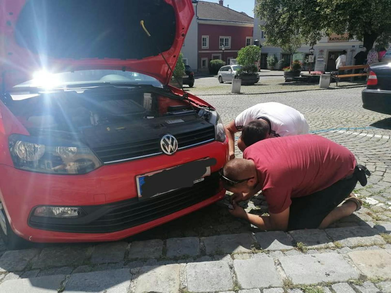 Das Babykatzerl war im Motorraum des VW versteckt.