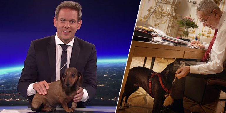 Martin Thür und "Fini", Van der Bellen und "Juli"