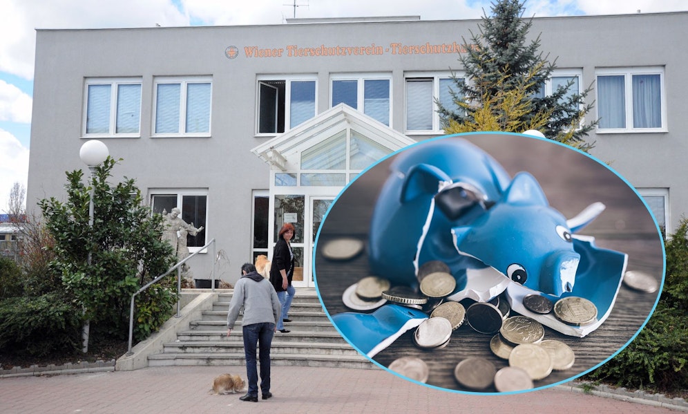 Die Inflation macht auch vor den Tierheimen nicht halt. 