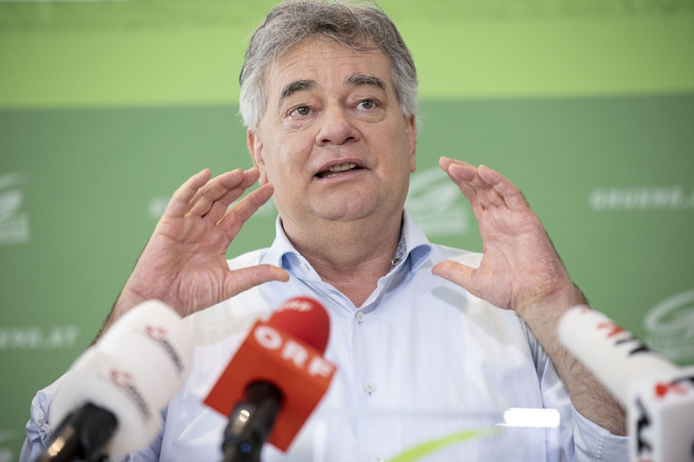Werner Kogler (GRÜNE).