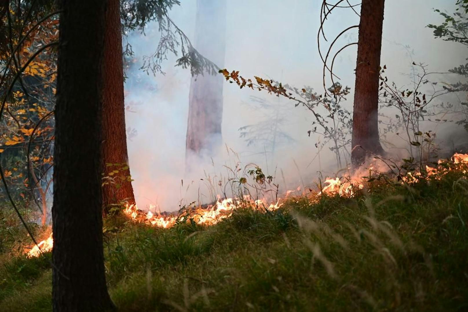 Die Waldbrand-Gefahr steigt wieder. Im Bild der Waldbrand in Hirschwang in der Marktgemeinde Reichenau a.d. Rax im Oktober 2021.
