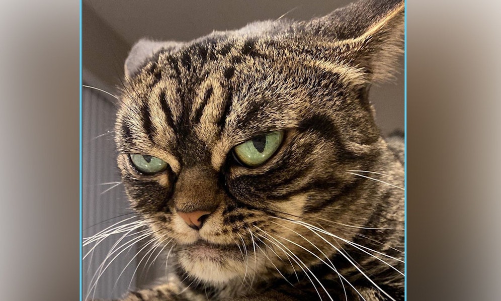 Oh, okay. Blicke sagen mehr als Worte. 