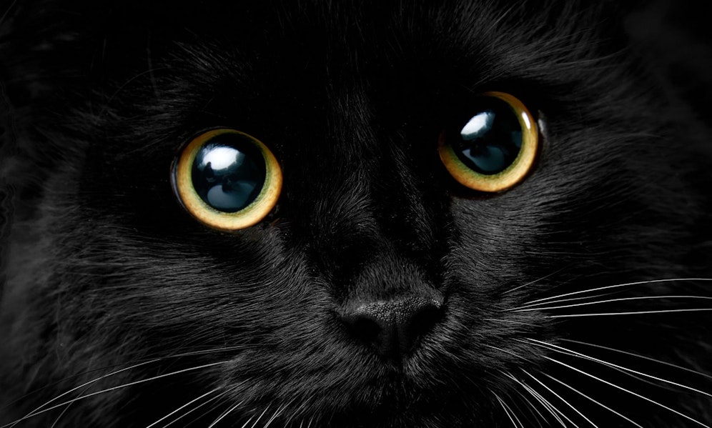 Ich seh', ich seh', was du nicht siehst. 