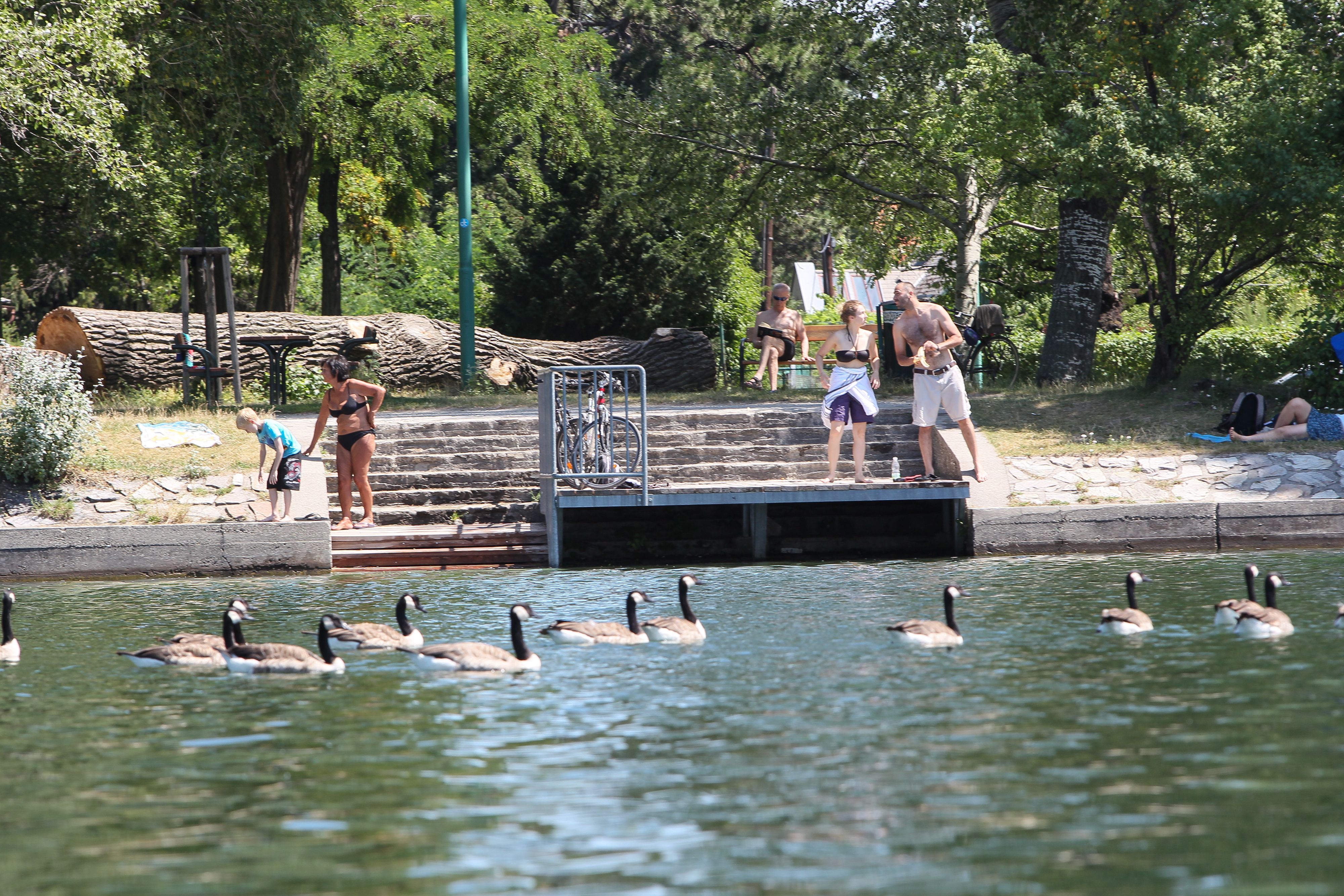 Ein Mann pöbelte Badegäste an der Alten Donau an (Symbolfoto).