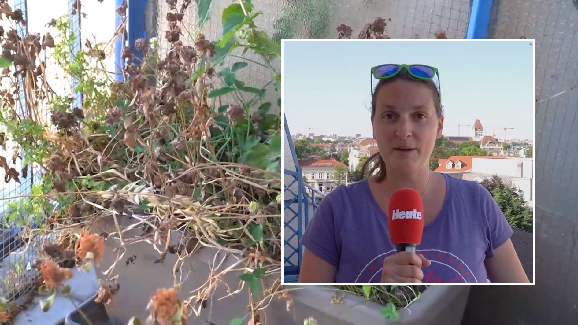 Die 32-jährige Julia leidet unter den hohen Temperaturen in ihrem Appartment.