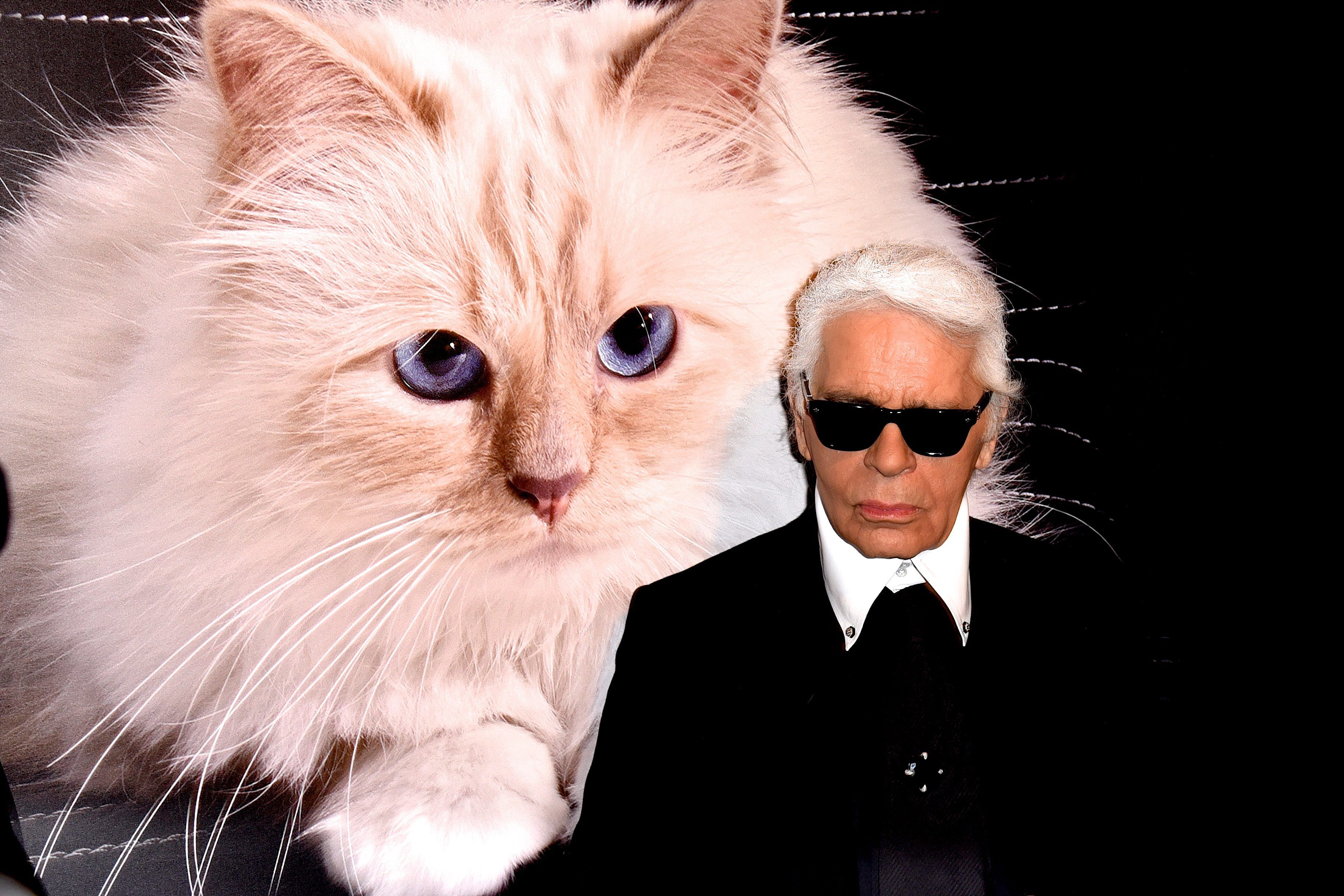 Noch zu seinen Lebzeiten hatte Katze "Choupette" von Modemogul Karl Lagerfeld bereits zwei Angestellte. Durch diverse Werbedeals besitzt sie auch ein eigenes Vermögen von rund 3 Millionen US-Dollar - dies reicht wohl, um auch nach dem Tod von Herrchen ein gesichertes Leben zu leben. 