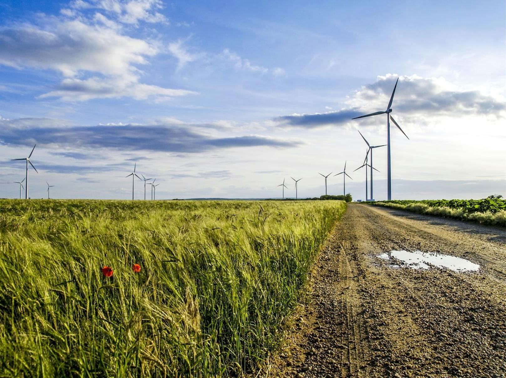 Für mehr erneuerbare Energien kommen Windräder immer öfters zum Einsatz.&nbsp;