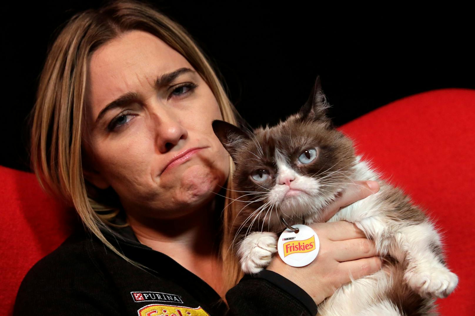 Das Vermögen des wohl ersten felinen Internetstars "<strong>Grumpy Cat</strong>" beläuft sich auf <strong>81 Millionen US-Dollar</strong>. "Tatar Sauce" (der richtige Name des berühmten Katzerls) verstarb leider 2019. " 