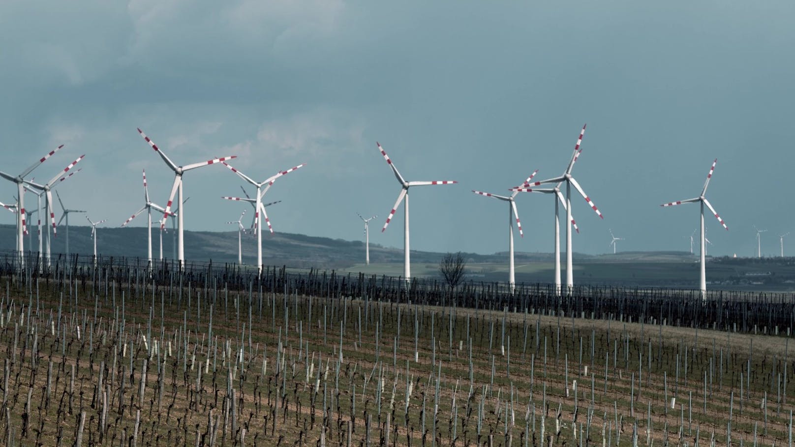 Der Windpark Bruck-Göttlesbrunn ist ein Leuchtturmprojekt für ökologische Energieerzeugung.