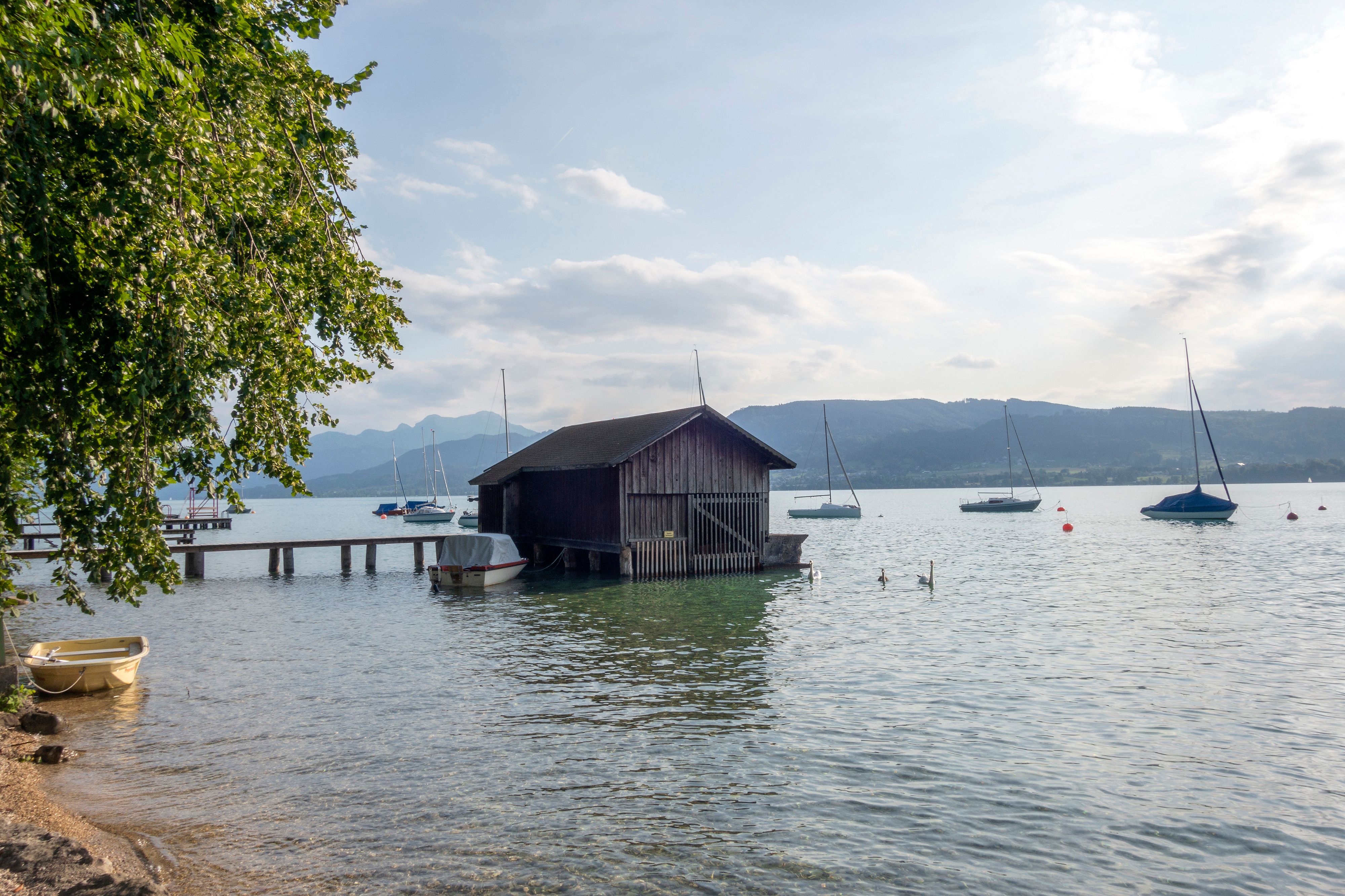 Download von www.picturedesk.com am 28.06.2022 (14:23).  Weyregg am Attersee im Salzkammergut, OÖ, Österreich - 20190801_PD14574 - Rechteinfo: Rights Managed (RM)