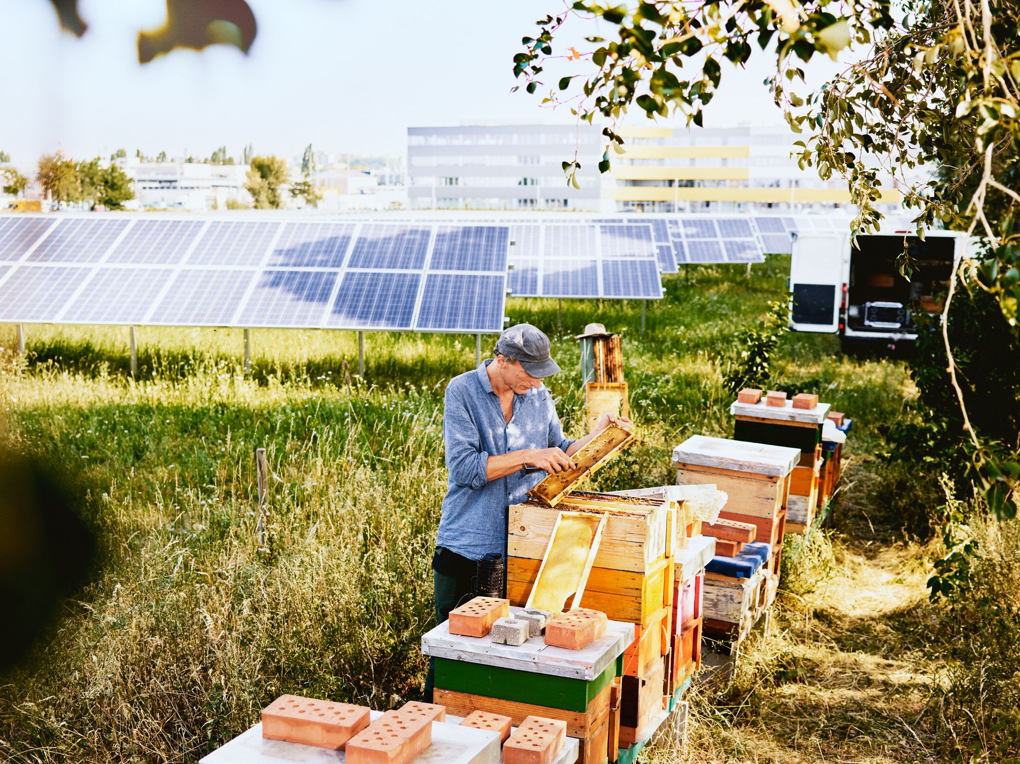 An der Spitze der nachhaltigen Energiequellen: Photovoltaikanlagen, vor Wasserkraft und Windenergie.