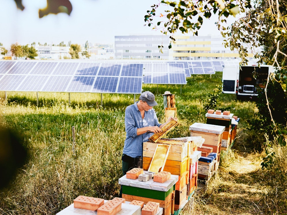 An der Spitze der nachhaltigen Energiequellen: Photovoltaikanlagen, vor Wasserkraft und Windenergie.
