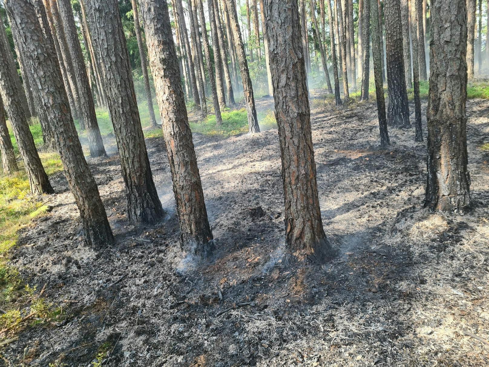 Die Feuerwehren im Einsatz.