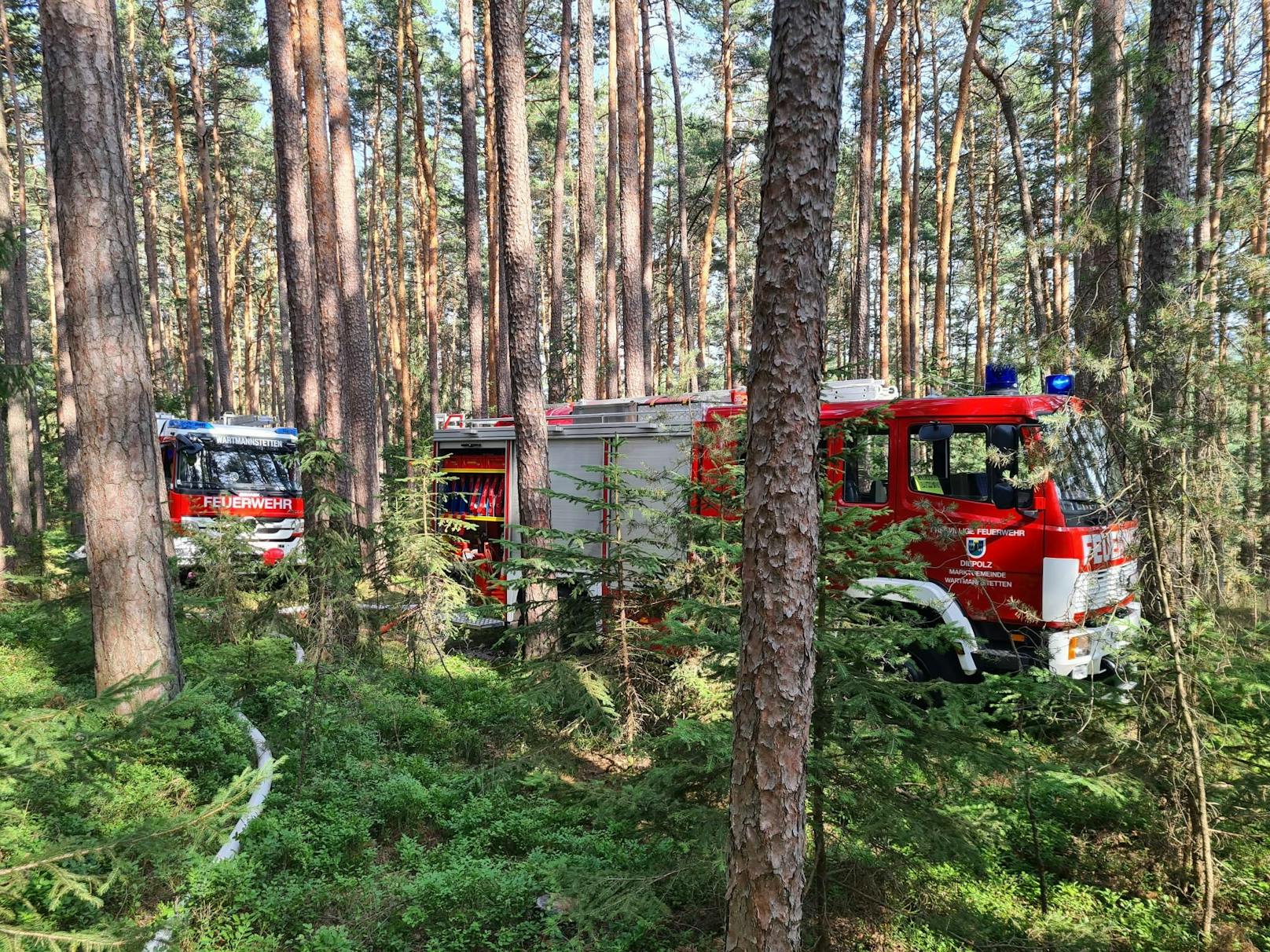 Die Feuerwehren im Einsatz.