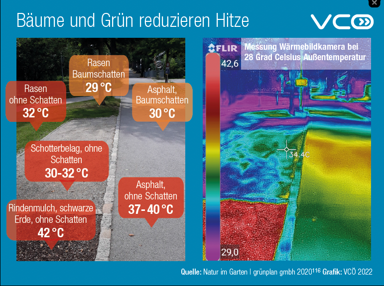 Bäume und Grün kühlen - Straßen und Beton erhitzen die Stadt.
