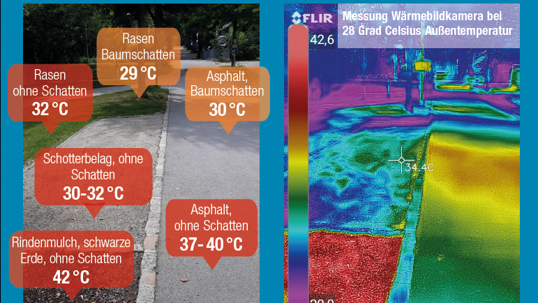 Bäume und Grün kühlen - Straßen und Beton erhitzen die Stadt