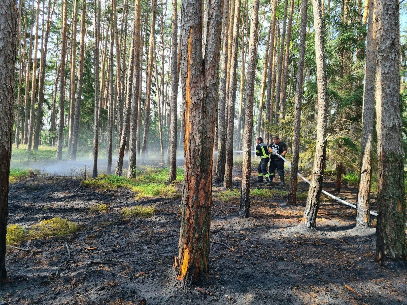 Die Feuerwehren im Einsatz.