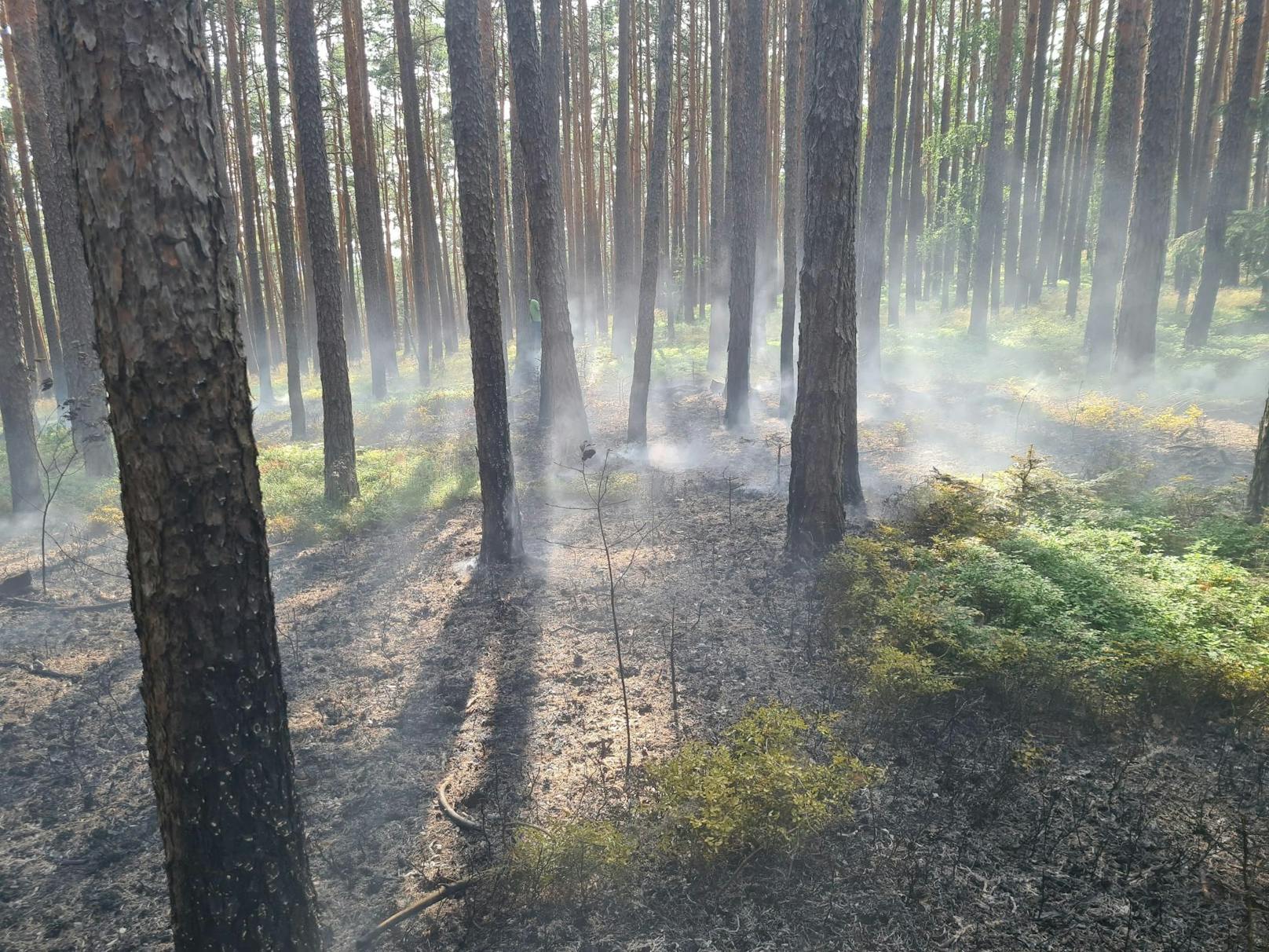 Die Feuerwehren im Einsatz.