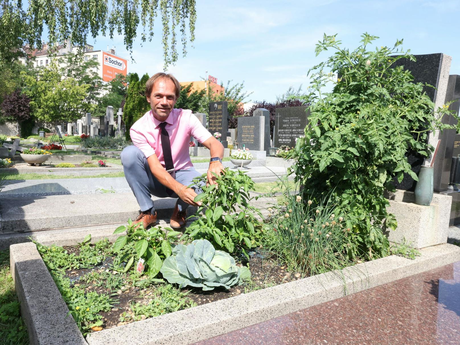 Walter Pois belebt den Matzleinsdorfer Friedhof in Wien durch Urban Gardening.
