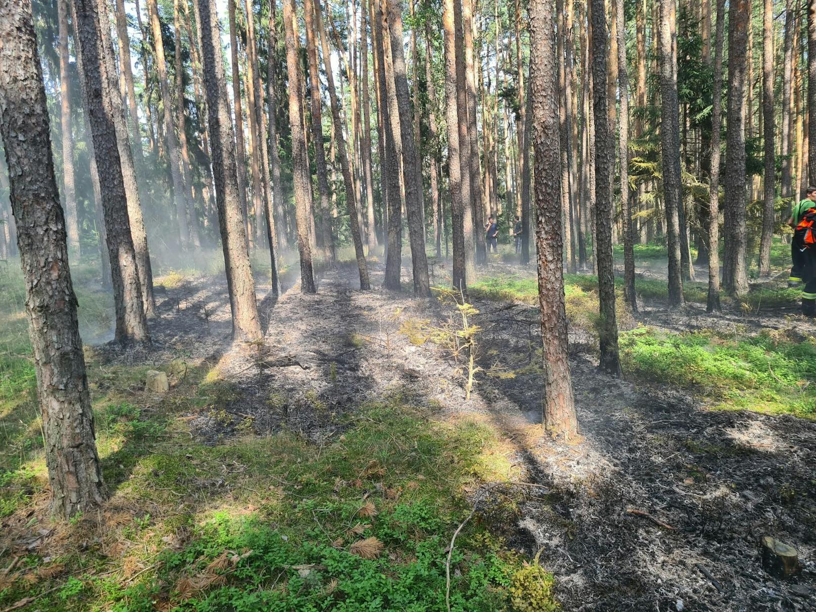 Die Feuerwehren im Einsatz.