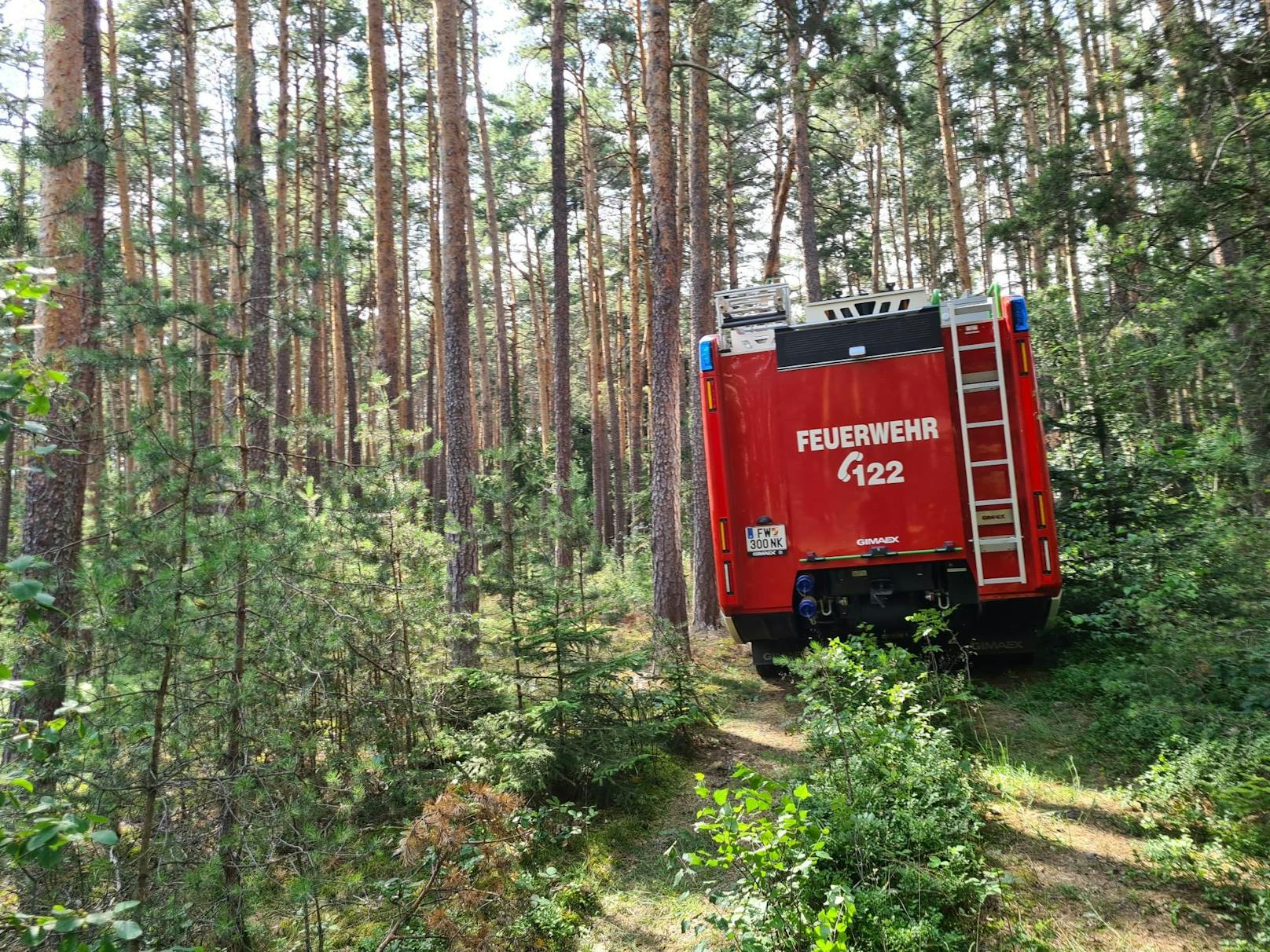 Die Feuerwehren im Einsatz.