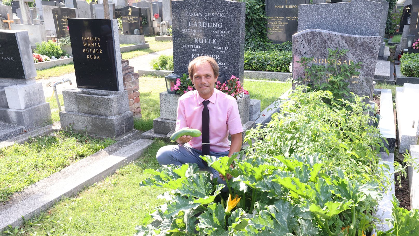 Das blühende Leben am Matzleinsdorfer Friedhof in Wien:&nbsp;Leiter Walter Pois vermietet aufgelassene Gräber für Urban Gardening und gestaltet sie zu offenen Bücherschränken.