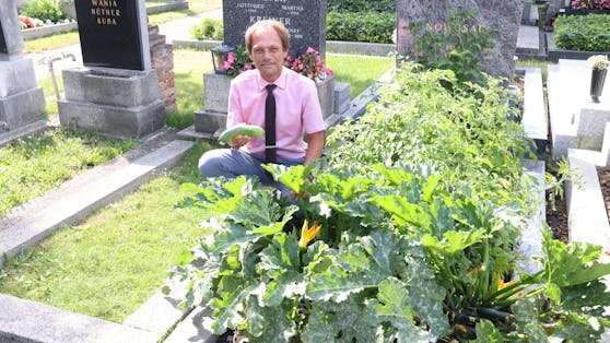 Leiter Walter Pois belebt den Matzleinsdorfer Friedhof in Wien: Aufgelassene Gräber nutzt man für Urban Gardening und als offenen Bücherschrank.